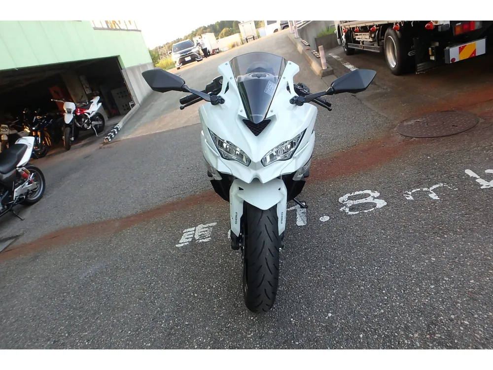 Kawasaki ZX-4R SE 2026, white/black, фото 2