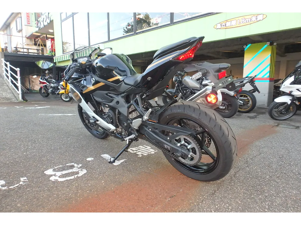 Kawasaki ZX-4R SE 2026, white/black, фото 12