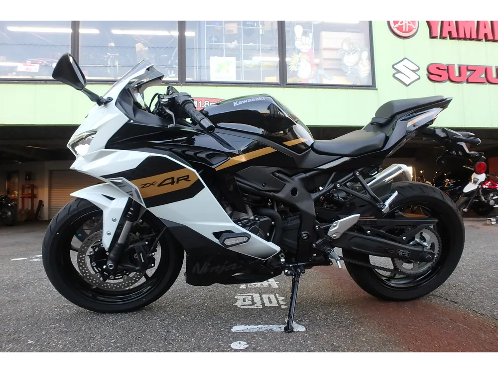 Kawasaki ZX-4R SE 2026, white/black, фото 17