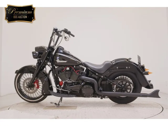 Harley-Davidson FLSS1800 2016, чёрный, фото 2