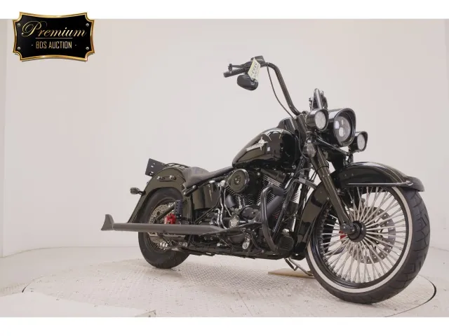 Harley-Davidson FLSS1800 2016, чёрный, фото 3