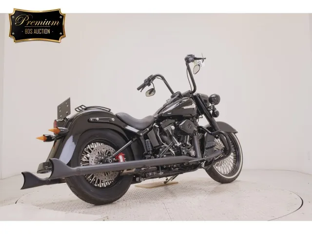 Harley-Davidson FLSS1800 2016, чёрный, фото 5