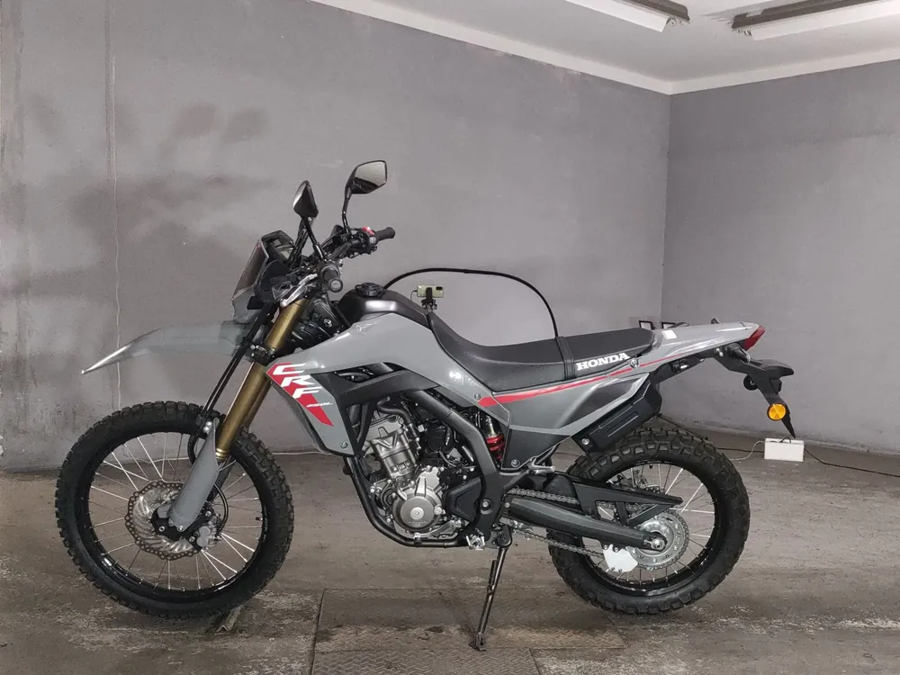 Honda CRF250 Rally, серый, фото 2