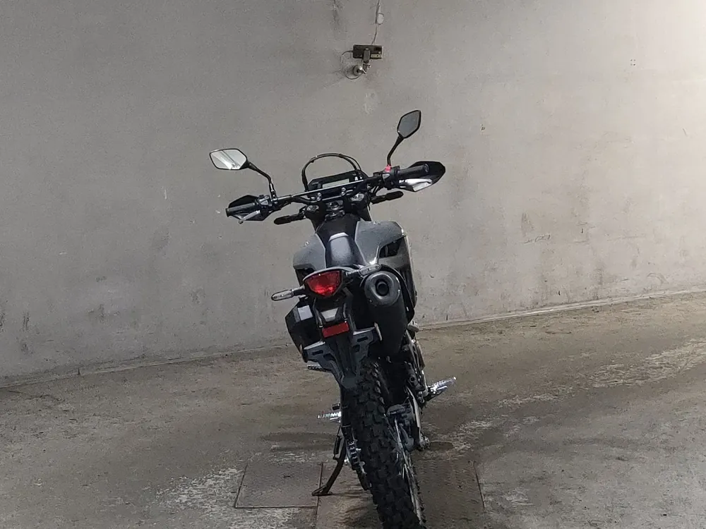 Honda CRF250 Rally, серый, фото 4