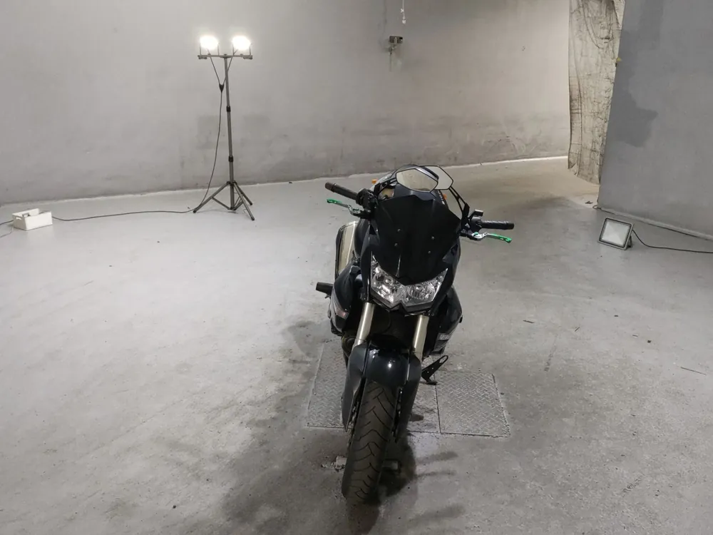 Kawasaki Z1000 2008, light brown, фото 3