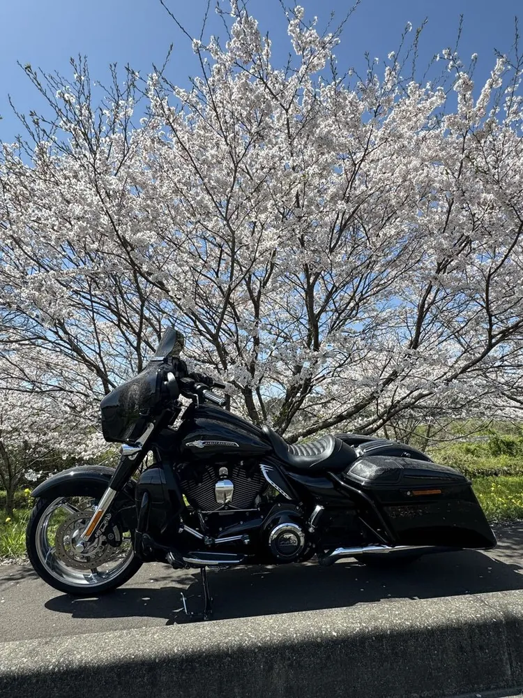 Harley-Davidson FLHXSE CVO Street Glide 2015, фото 8