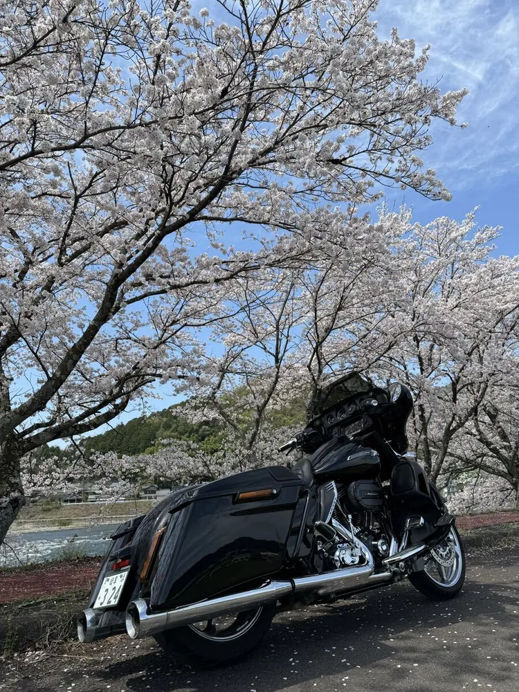 Harley-Davidson FLHXSE CVO Street Glide 2015, фото 9