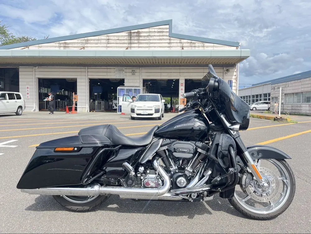 Harley-Davidson FLHXSE CVO Street Glide 2015, фото 7