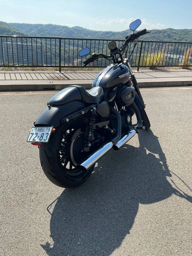 Harley-Davidson XL883N Sportster Iron 2013, фото 3