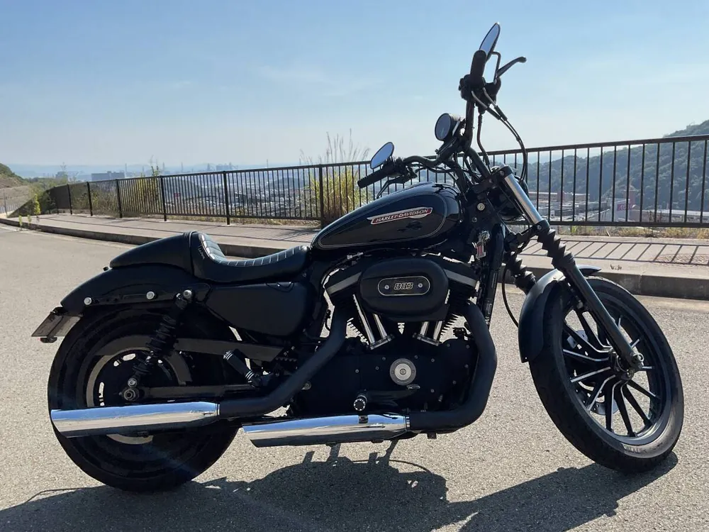 Harley-Davidson XL883N Sportster Iron 2013, фото 4