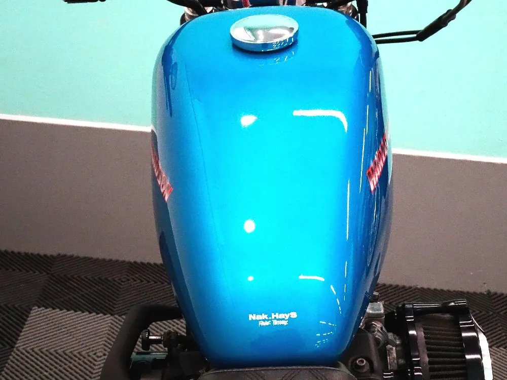 Harley-Davidson XL883R 2005, фото 8