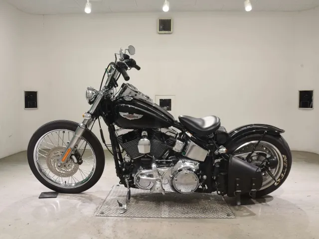 Harley-Davidson FLSTN1580 2009, чёрный, фото 2