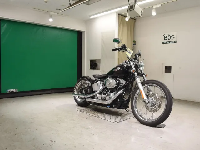 Harley-Davidson FLSTN1580 2009, чёрный, фото 3