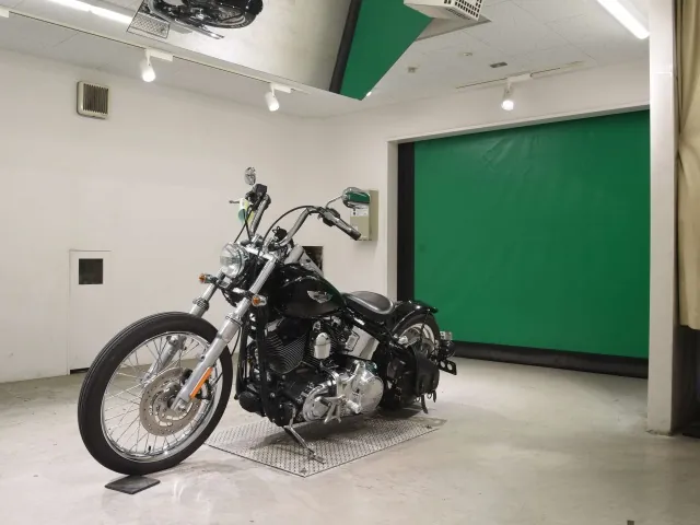 Harley-Davidson FLSTN1580 2009, чёрный, фото 4