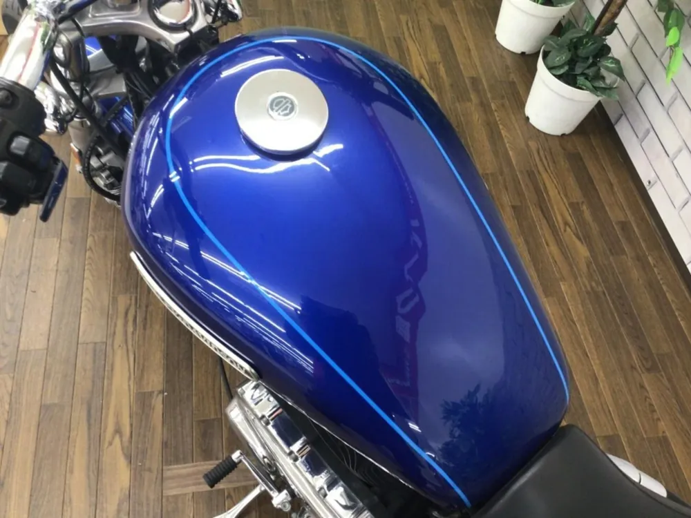 Harley-Davidson XL1200L Sportster 2009, синий, фото 3