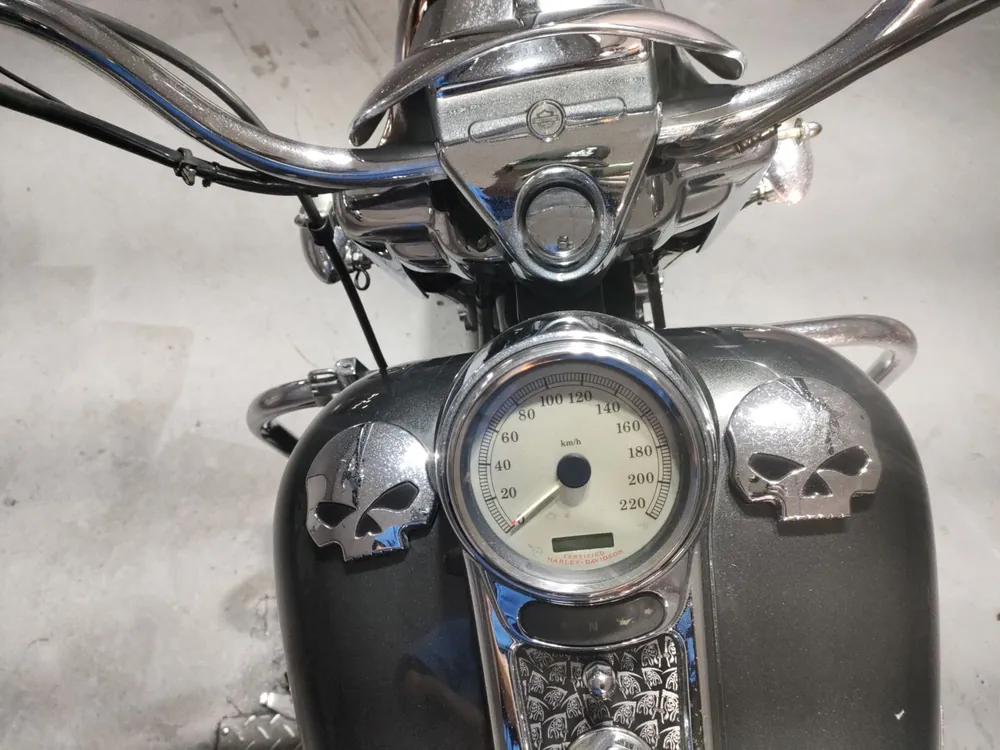Harley-Davidson FLHRS1450 2005, серый, фото 5