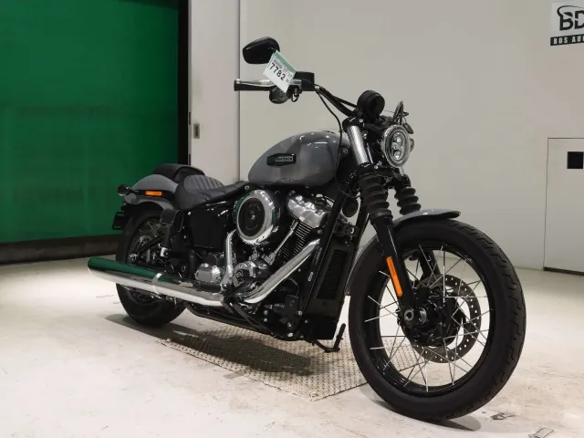 Harley-Davidson FXBB1920 2026, серый, фото 3