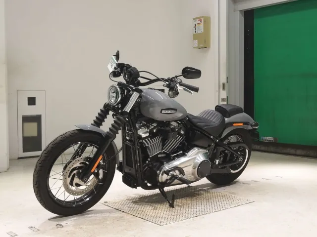 Harley-Davidson FXBB1920 2026, серый, фото 4