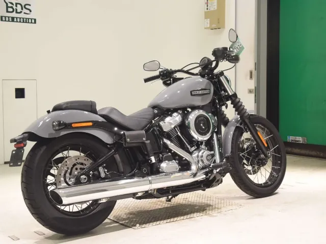 Harley-Davidson FXBB1920 2026, серый, фото 5