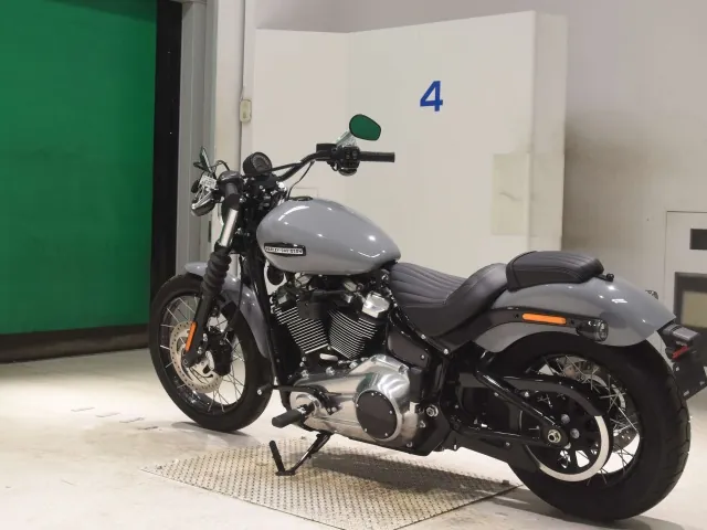Harley-Davidson FXBB1920 2026, серый, фото 6