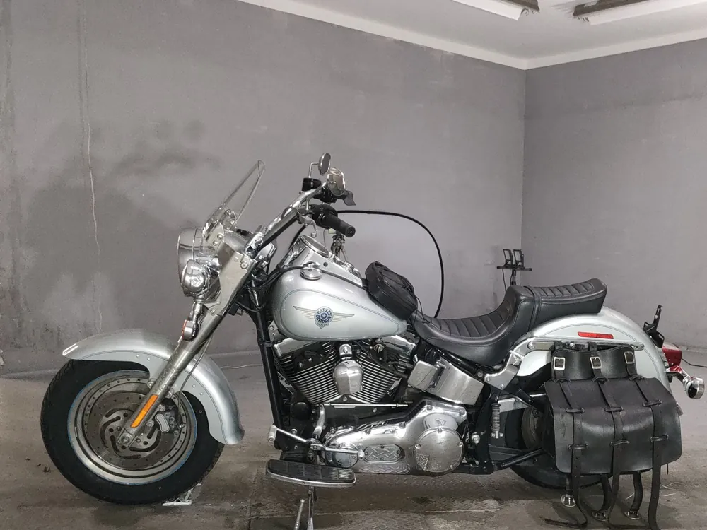 Harley-Davidson Fat Boy 2004, серый, фото 2