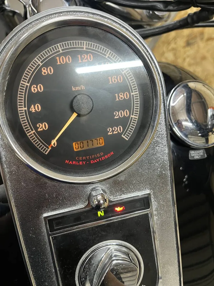 Harley-Davidson FXDWG 2003, фото 8