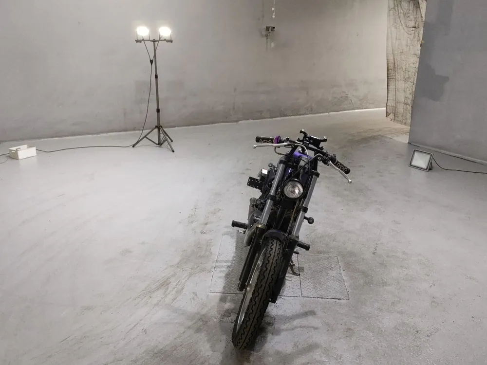 Kawasaki Estrella, фиолетовый, фото 3