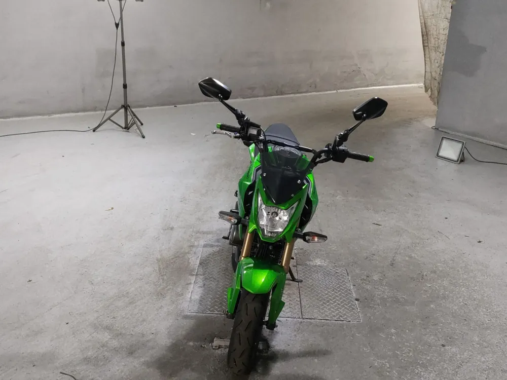 Kawasaki Z125 PRO, зелёный, фото 3