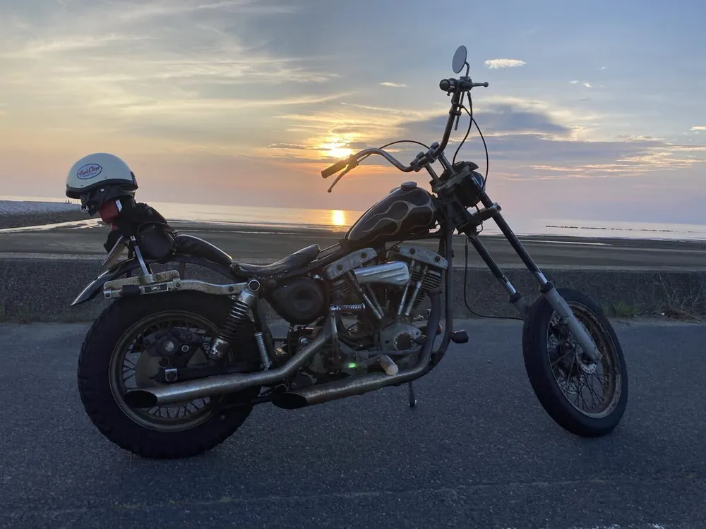 Harley-Davidson FXE 1976, фото 2