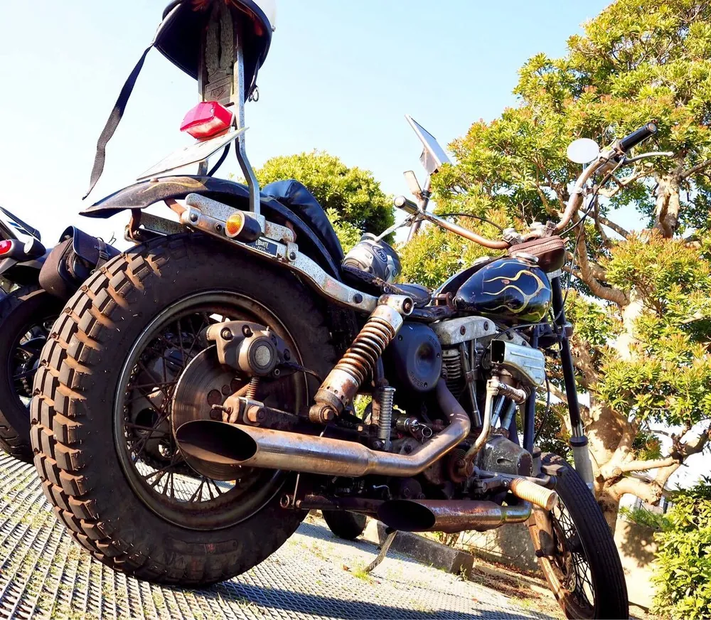 Harley-Davidson FXE 1976, фото 3