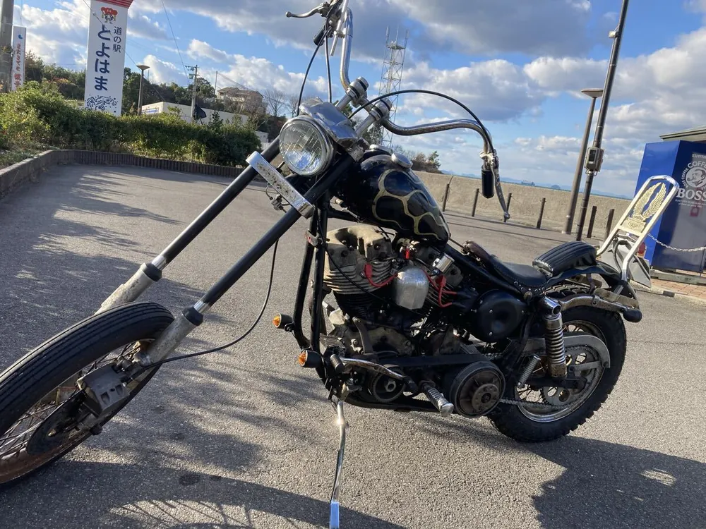 Harley-Davidson FXE 1976, фото 6
