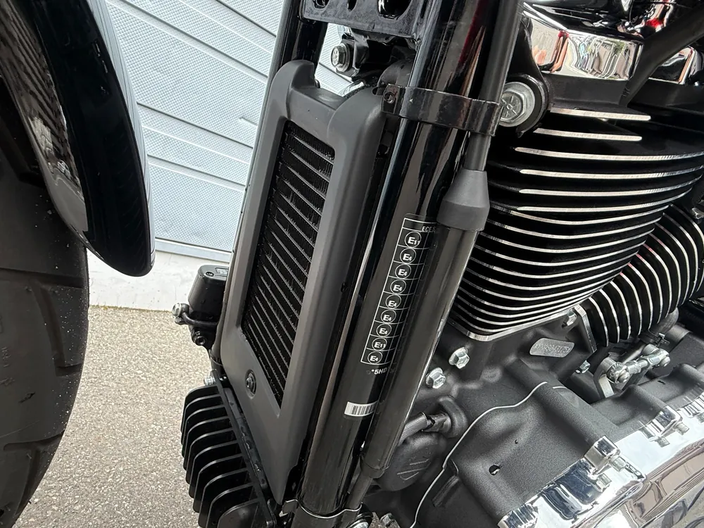 Harley-Davidson FXLRST 2026, чёрный, фото 20