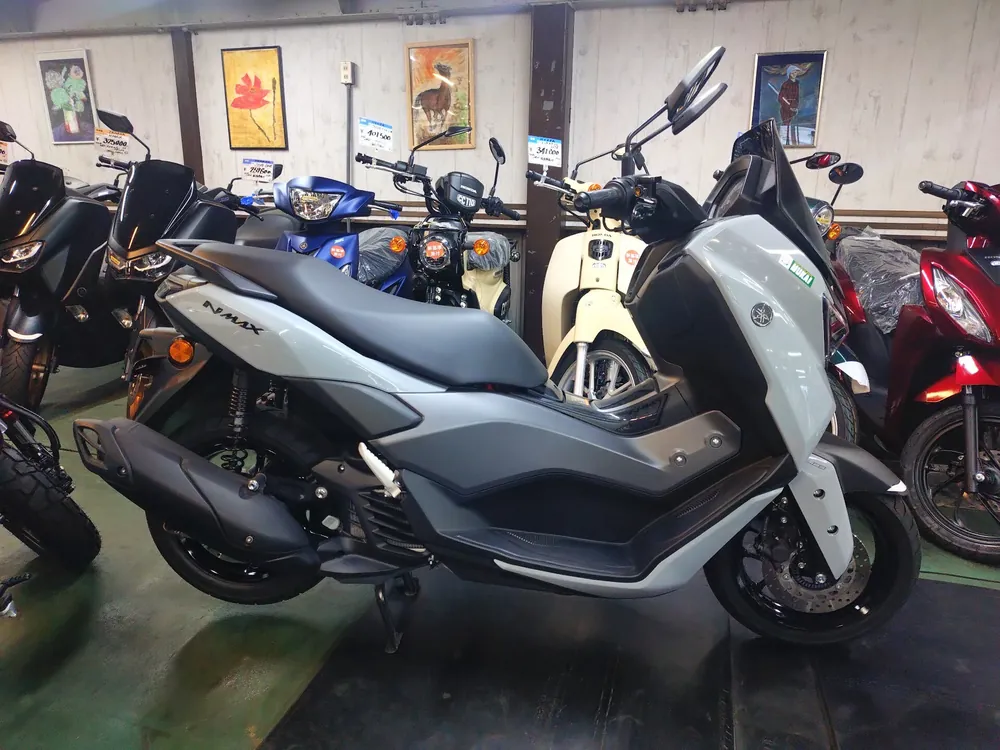 Yamaha Nmax-3, серый, фото 9