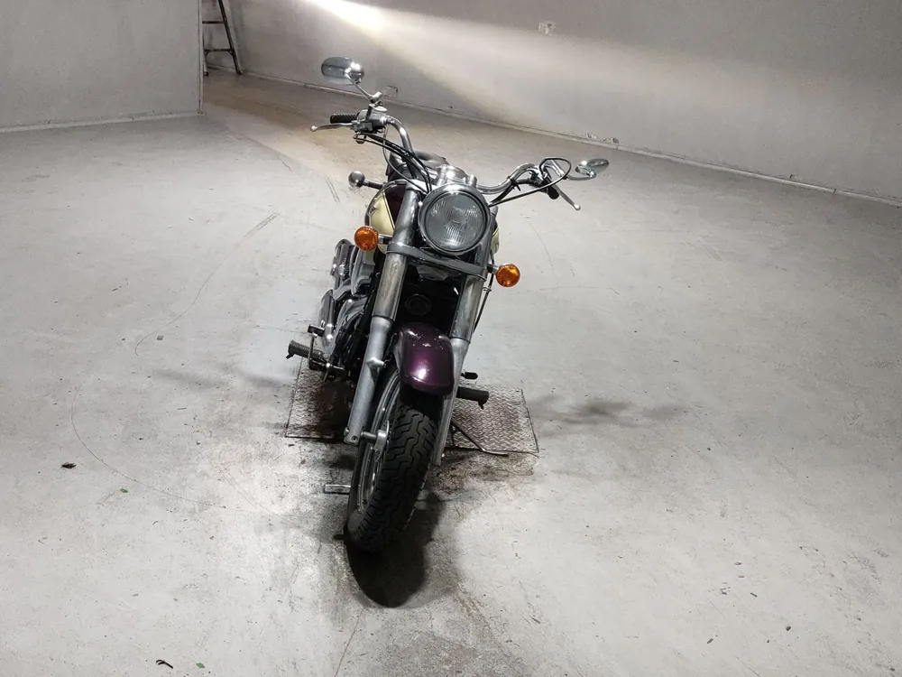 Kawasaki Vulcan 400 Classic 1997, purple / beige, фото 3