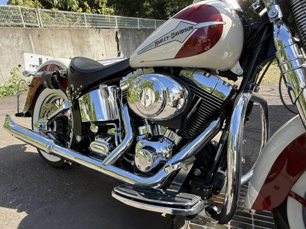 Harley-Davidson Softail Springer 2001, фото 8