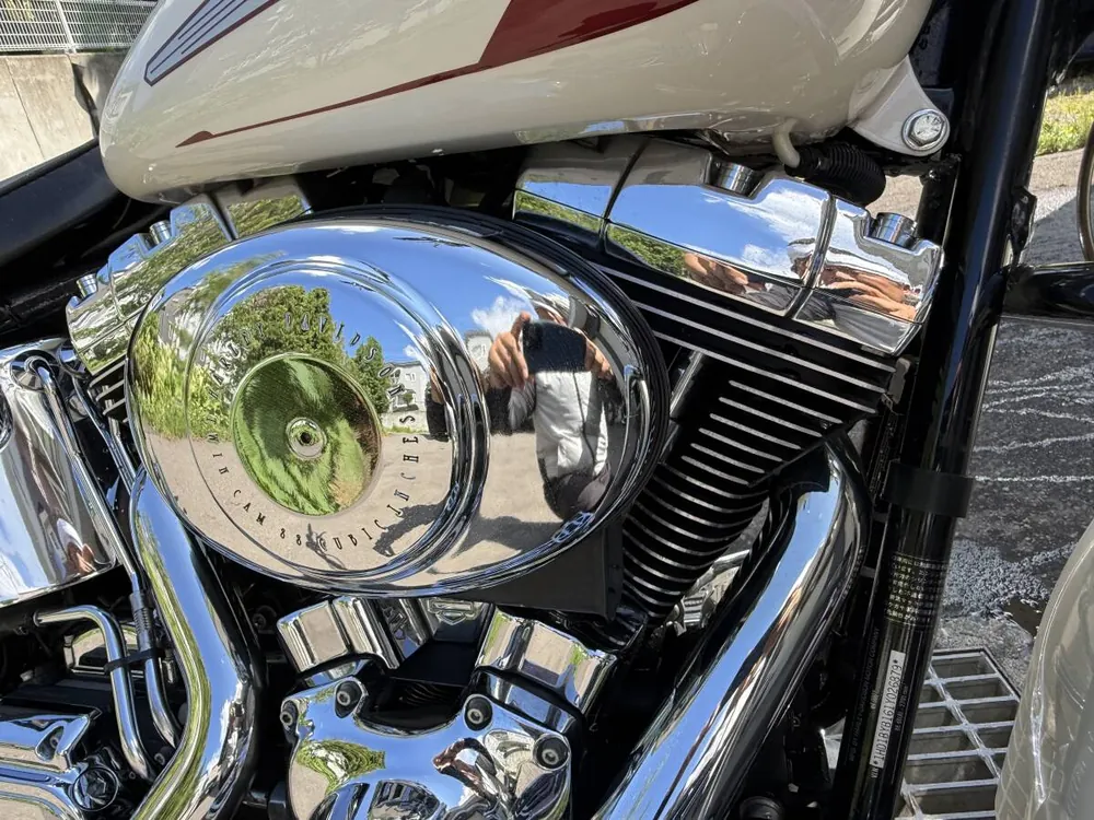 Harley-Davidson Softail Springer 2001, фото 9