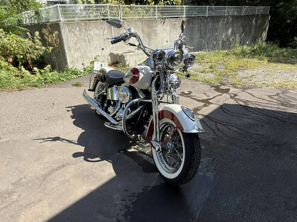 Harley-Davidson Softail Springer 2001, фото 3