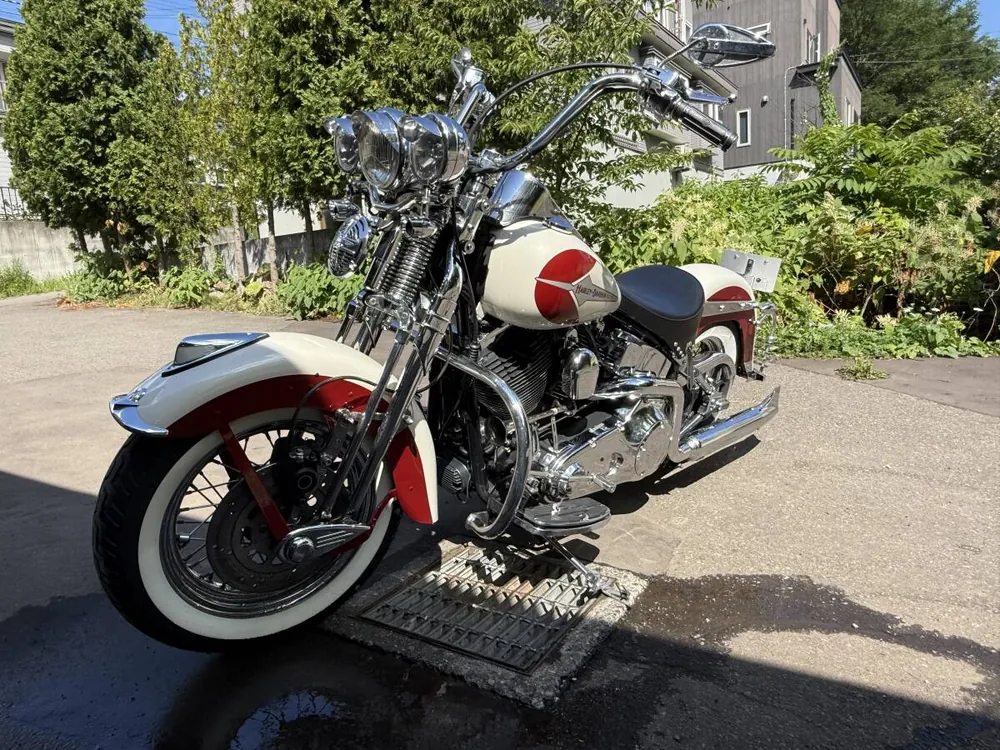 Harley-Davidson Softail Springer 2001, фото 4