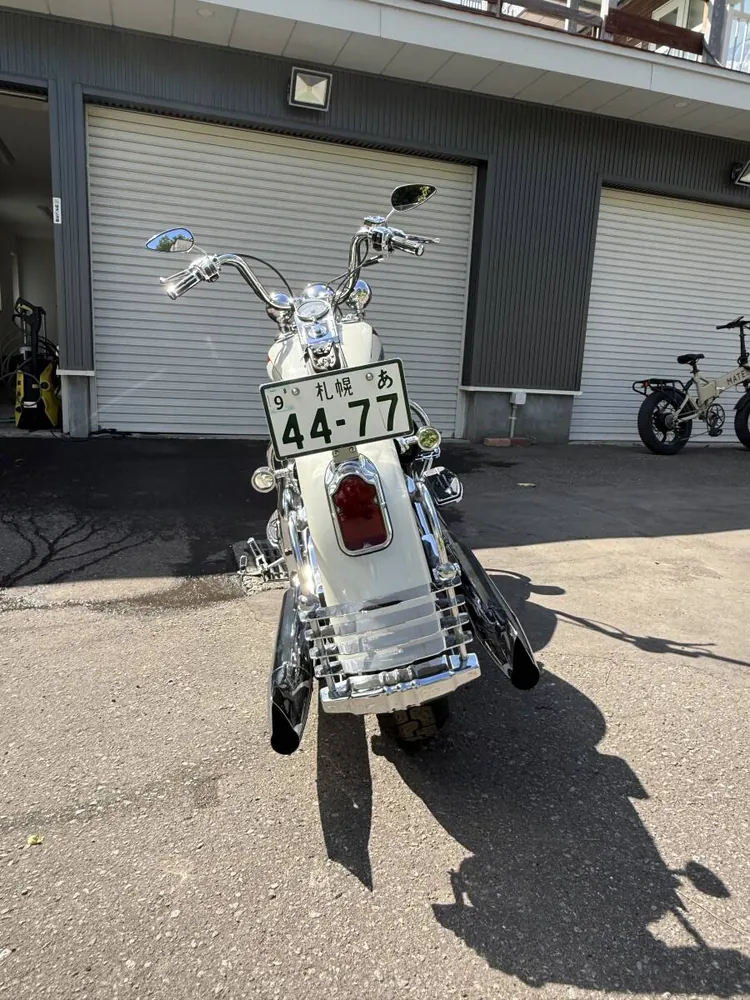 Harley-Davidson Softail Springer 2001, фото 6