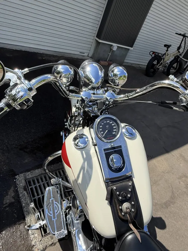 Harley-Davidson Softail Springer 2001, фото 7