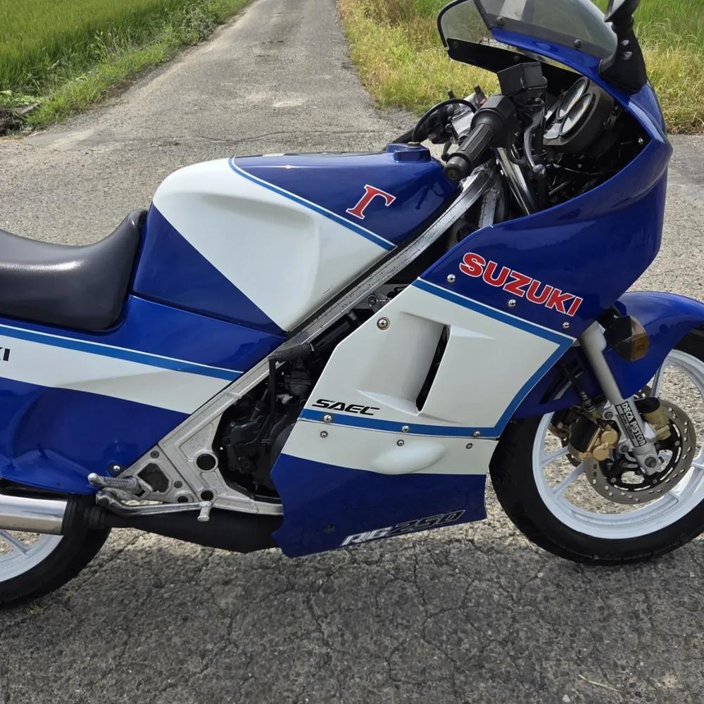 Suzuki RG250 Gamma 1986, фото 10
