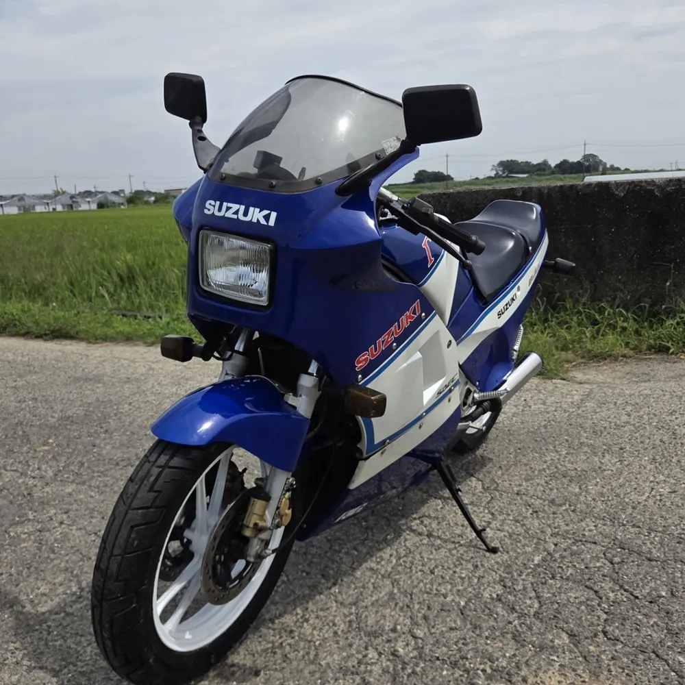Suzuki RG250 Gamma 1986, фото 2
