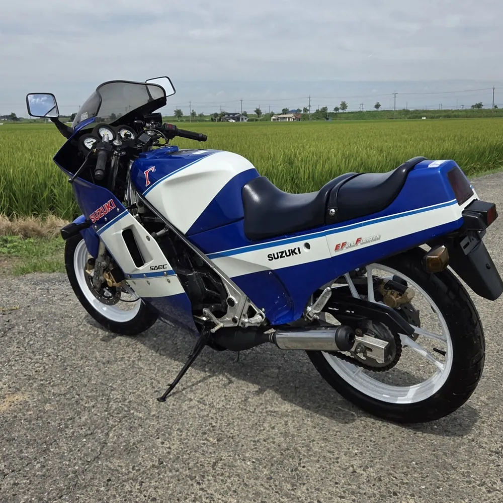 Suzuki RG250 Gamma 1986, фото 5