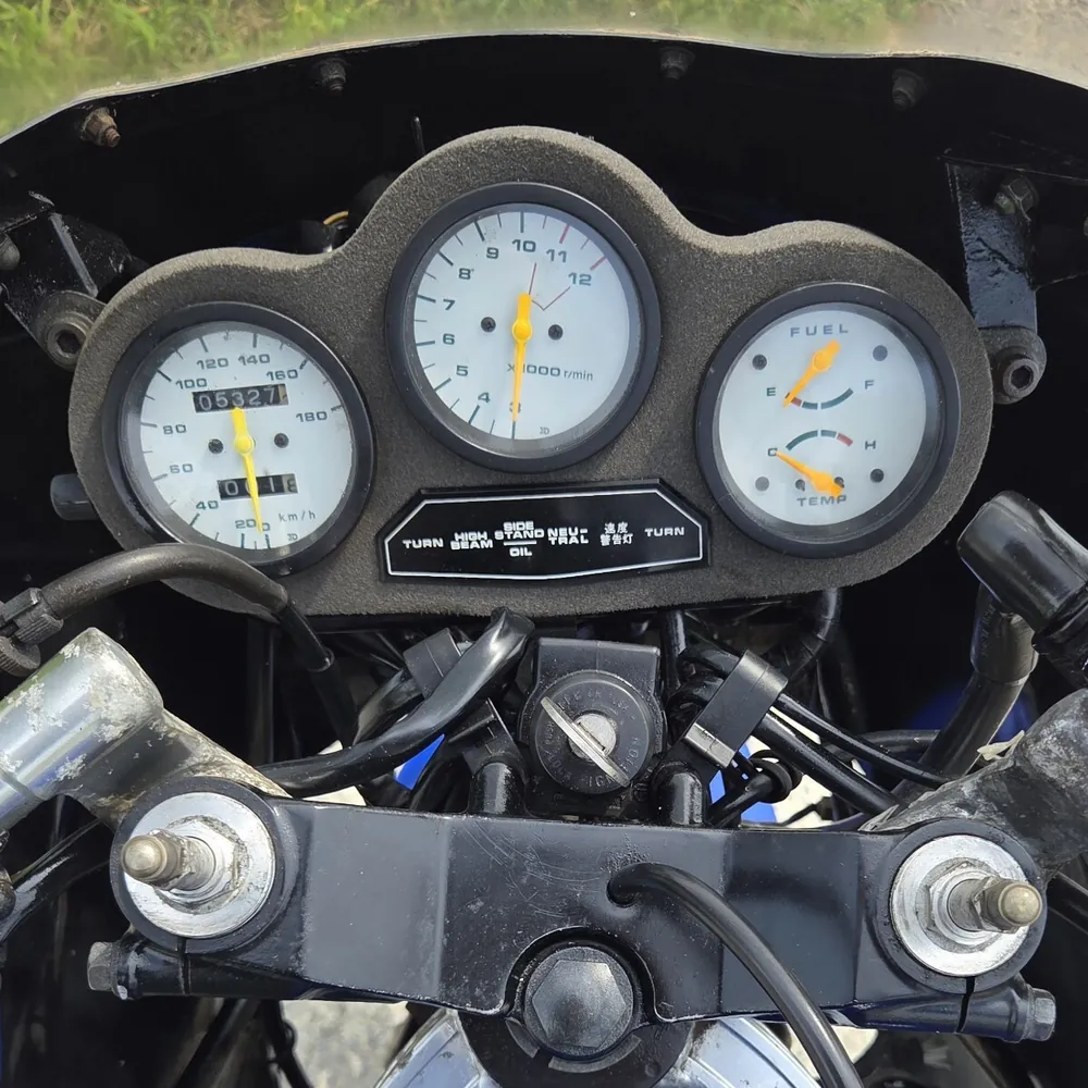 Suzuki RG250 Gamma 1986, фото 6