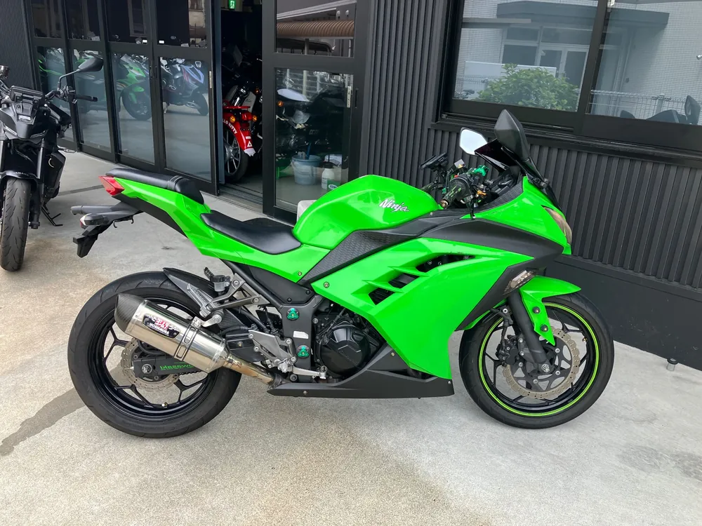 Kawasaki Ninja 250, зелёный, фото 4