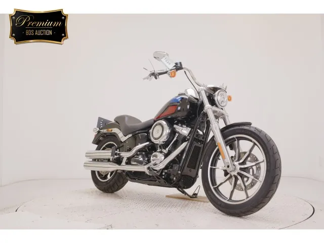 Harley-Davidson FXLR1750 2018, black | red | blue, фото 3