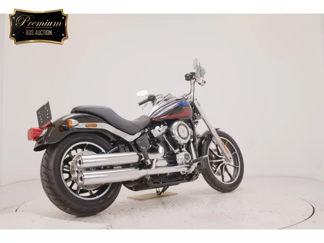 Harley-Davidson FXLR1750 2018, black | red | blue, фото 5