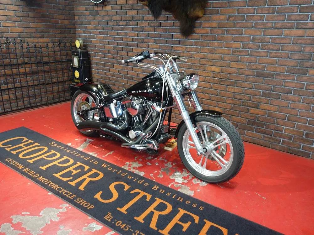 Harley-Davidson FLSTF 1997, фото 8