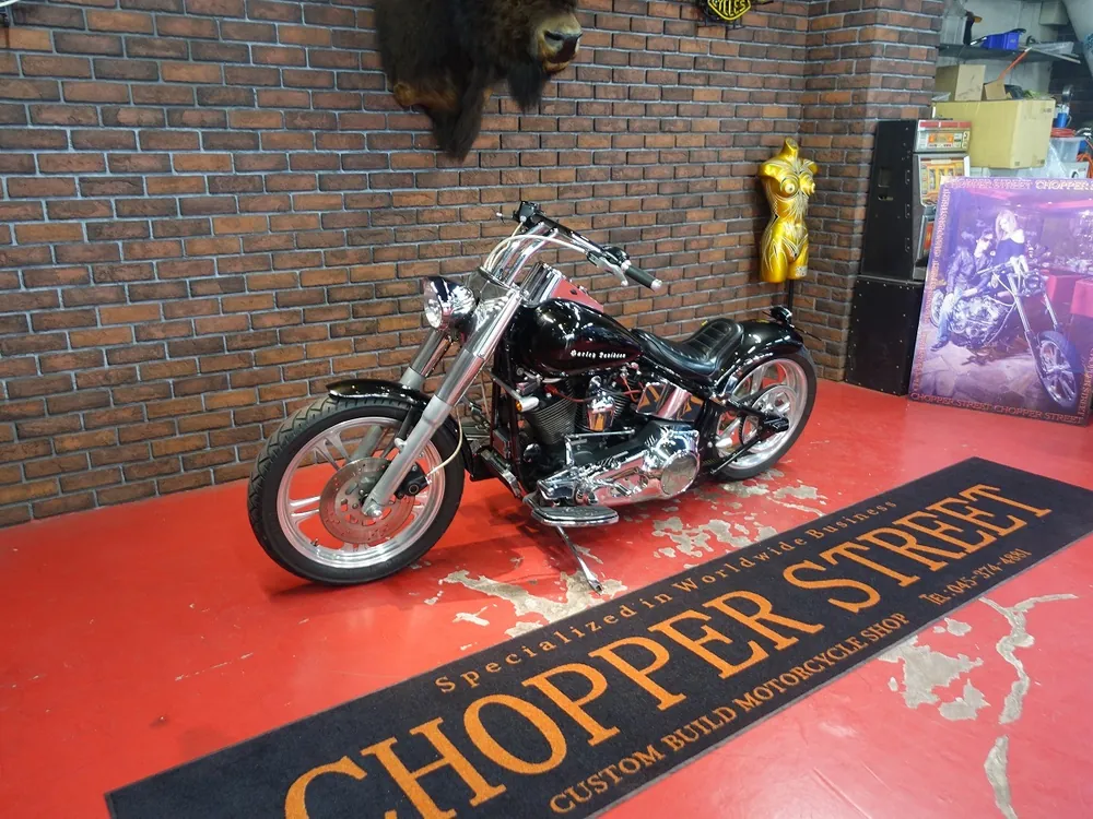 Harley-Davidson FLSTF 1997, фото 10