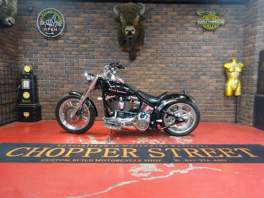 Harley-Davidson FLSTF 1997, фото 3